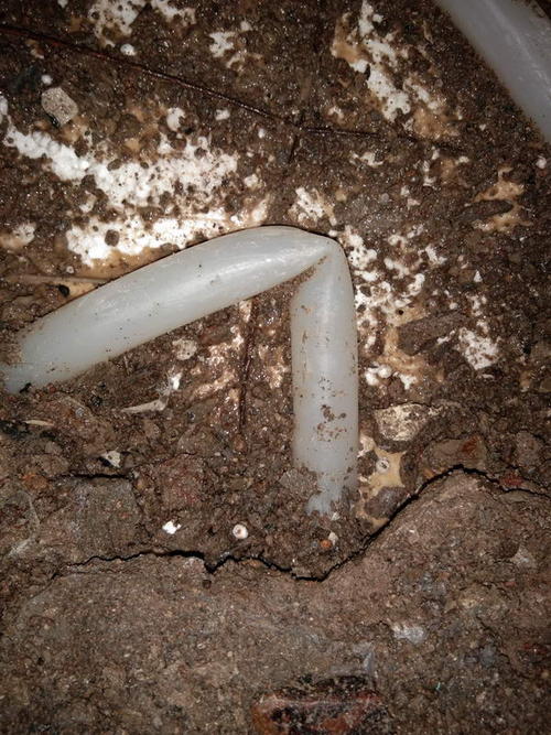 博爱堵点精准查找